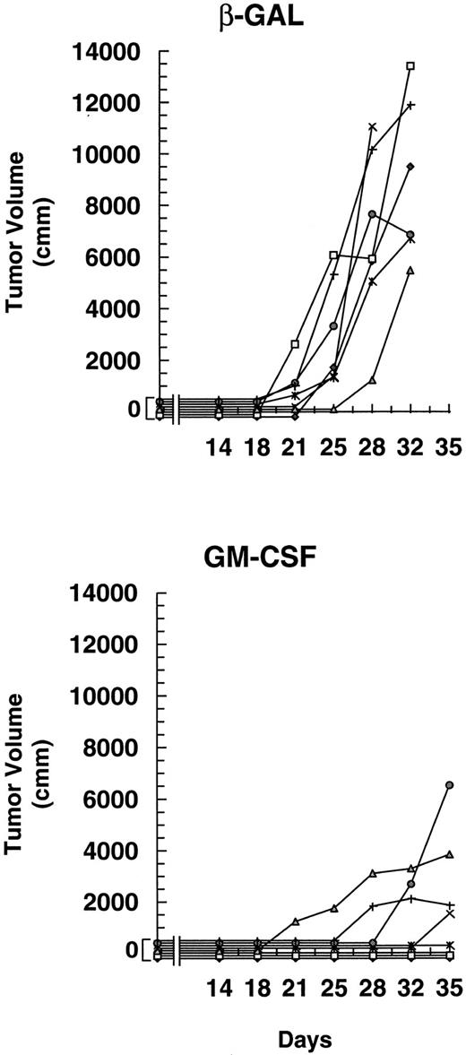 Fig. 10. Injection of mice with irradiated A20 cells secreting GM-CSF inhibits the growth of preexisting tumor. Two groups of mice (seven per group) were challenged with 1 × 105 A20 cells on day 1, followed on days 4, 11, and 18 by subcutaneous injection of 1 × 105 irradiated (1,000 cGy) A20 cells that had been transduced with the DISC-HSV GM-CSF vector or the control DISC-HSV β-GAL vector at 30 pfu/cell. The data are reported as mean tumor volume (mm3) ± SE. The difference in tumor growth patterns in the presence of GM-CSF or β-GAL was highly significant (P < .005 by the Wilcoxon test).