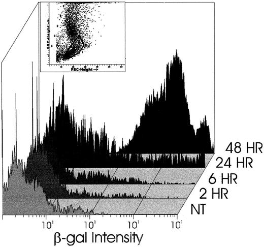 Fig. 3. β-GAL expression is low for up to 6 hours after transduction of CD34+ cells with the DISC-HSV β-GAL vector. The inset figs show the gating used, whereas the x-axis denotes the intensity of β-GAL staining of CD34+ cells at various times posttransduction at 2 pfu/cell.