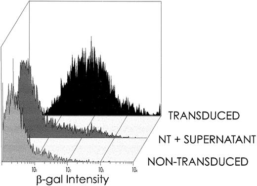 Fig. 4. The supernatant of transduced CD34+ cells taken 48 hours after exposure to 20 pfu of vector/cell does not affect β-GAL expression by nontransduced CD34+ cells (NT + supernatant) measured 48 hours after exposure. β-GAL expression by transduced and nontransduced hematopoietic progenitors 48 hours after transduction at the same MOI is shown for comparison.