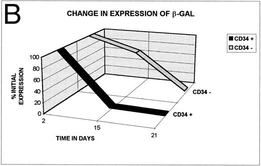 Fig. 5. (A) After transduction with 2 pfu/cell, β-GAL expression in hematopoietic progenitor cell cultures declines progressively with time of culture. (B) β-GAL expression declines in both CD34+ and CD34− subsets of hematopoietic cells. To determine whether the loss of β-GAL expression was confined to the CD34+ population, we examined the proportion of cells that were marker positive in both the CD34+ and CD34− marrow population, at different times after transduction with the HSV-DISC vector at 2 pfu/cell. Both CD34+ and CD34− populations showed a decline in positivity, and the rate of decline was greater in the CD34+ cells.