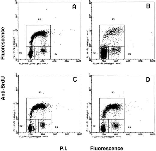 Fig. 4. Flow cytometric cell cycle analysis of HL60 cells treated with c-fes ODN before and after induction for 48 hours with PMA. In each panel, the rectangles marked R2, R3, and R4 represent the cells in the Go/G1, S and G2/M phases of the cell cycle, respectively. (A) hFES-IP-sj-treated HL60 cells: the percentage of the cells in each phase of the cycle is 42% (Go/G1), 49% (S) and 9% (G2/M), respectively. Superimposable percentages were obtained in untreated, AS and control ODN treated cells, in several different experiments (data not shown). (B) hFES-IP-sj-treated HL60 cells induced with PMA; the percentage of the cells in the G1 phase of the cycle is 79%, in S phase 14% and in G2/M phases 7%. (C) Distribution of HL60 cells in the different phases of the cycle after 5 days of hFES-AS-sj1 and 2 ODN and PMA treatment. The percentage of the cells in the G1 phase is 50%, in S is 42% and in G2-M is 8%. (D) Superimposable results to that described in (C) were obtained when HL60 cells were treated with the mixture of hFES-AS1, 2, and 3 and induced to macrophage differentiation.
