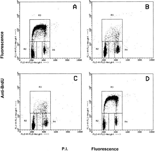 Fig. 5. Flow cytometric cell cycle analysis of FDC-P1/MAC-11 cells treated with c-fes ODN before and after induction for 48 hours with PMA. In each panel, the rectangles marked R2, R3, and R4 represent the cells in the Go/G1, S and G2/M phases of the cell cycle, respectively. (A) ODN untreated FDC-P1/MAC-11 cells: the percentage of the cells in each phase of the cycle is 47% (Go/G1), 44% (S) and 9% (G2/M), respectively. Superimposable percentages were obtained in c-fes mIP1, 2, and 3 ODN treated cells, in several different experiments (data not shown). (B) ODN untreated FDC-P1/MAC-11 cells induced with PMA; the percentage of the cells in the G1 phase of the cycle is 79%, in S phase 10%, and in G2/M phases 11%. (C) Distribution in the cell cycle phases of mIP ODN treated FDC-P1/MAC-11 cells after PMA treatment. The percentage of the cells in the G1 phase is 79%, in S is 11%, and in G2-M is 10%. (D) Superimposable results to that described in (A) were obtained when FDC-P1/MAC-11 cells were treated with the mixture of mFES-AS1, 2, and 3 and induced to macrophage differentiation with TPA (49% in G1, 43% in S, and 8% in G2-M).