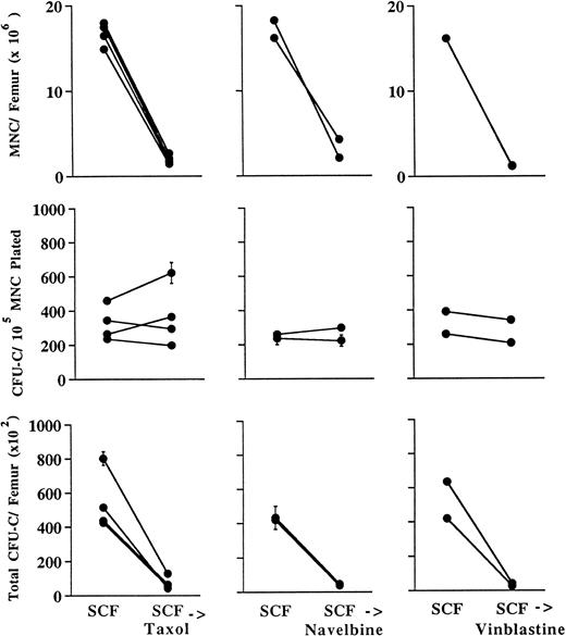 Fig. 3. Hematologic effects in the femur 48 hours following SCF in combination with a single intraperitoneal dose of taxol (60 mg/kg) or intravenous doses of navelbine or vinblastine (both 10 mg/kg) as shown in Fig 1. SCF, control mice receiving SCF alone. Upper panels, total MNCs per femur; middle panels, clonogenic progenitors (CFU-C) per 105 MNCs plated; lower panels, total clonogenic progenitors per femur. Cultures were plated in triplicate; error bars in middle and lower panels denote standard deviations. Comparison of the middle panel with Fig 2 shows that sparing of progenitors is markedly reduced or abrogated by preceding SCF administration.