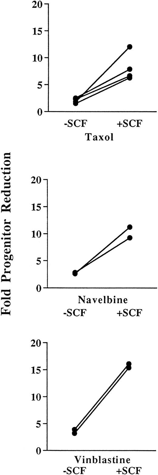 Fig. 4. Fold progenitor reduction in the absence (−) or presence (+) of preceding SCF administration for taxol, navelbine, and vinblastine. The fold progenitor reduction was determined by the number of progenitors per femur in control animals divided by the number of progenitors per femur in cytotoxic drug-treated animals. Note that for each drug, preceding SCF administration augments progenitor depletion threefold to sixfold. Using a two-tailed Student's t-test, these results are statistically significant for taxol at P < .05, for navelbine at P < .1, and for vinblastine at P < .005.