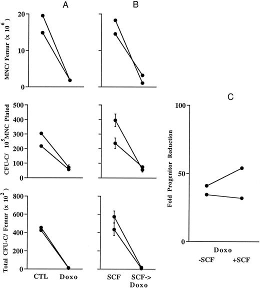 Fig. 5. Hematologic effects in the femur 48 hours after the administration of a single intravenous dose of doxorubicin (doxo; 17.5 mg/kg). See legend to Fig 2 for key to other abbreviations. (A) Effects of doxorubicin alone. In the middle panel, note that doxorubicin depletes clonogenic progenitors as efficiently as nonclonogenic BM MNCs, leading to a profound reduction in total progenitor numbers as shown in the lower panel. (B) Preceding SCF administration does not significantly alter doxorubicin-mediated BM toxicity. The inability of SCF to significantly augment doxorubicin's effect on progenitors is shown in (C). Error bars in (A) and (B) middle and lower panels designate standard deviations.