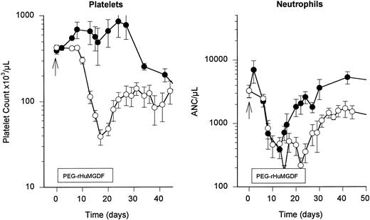 Fig. 3. Effects of PEG-rHuMGDF on posthepsulfam hematopoietic regeneration. Daily subcutaneous injections of PEG-rHuMGDF (2.5 μg/kg/d), beginning 1 day after hepsulfam administration and continuing for 21 days, produced a biphasic increase in the peripheral platelet counts at or above prechemotherapy values (left). PEG-rHuMGDF dosing after hepsulfam chemotherapy shortened the duration of neutropenia from 22 to 12 days (P = .01), although the neutropenic nadir was not significantly changed (right). The open symbols depict the counts for untreated hepsulfam controls, and the closed symbols designate counts in PEG-rHuMGDF-treated hepsulfam animals.