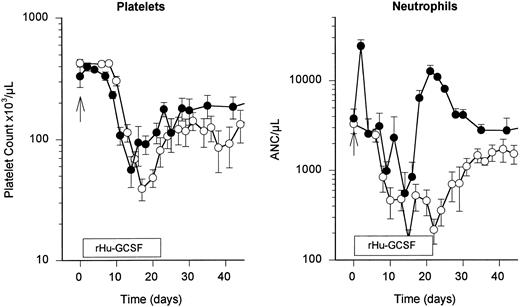 Fig. 4. Effects of rHu-GCSF on posthepsulfam hematopoietic regeneration. rHu-GCSF (10 μg/kg/d) beginning 1 day after hepsulfam treatment and continuing for 21 days did not significantly improve the nadir or duration of postchemotherapy thrombocytopenia (left). Twentyone days of rHu-GCSF (10 μg/kg/d) injections shortened the period of neutropenia (<1 × 109 neutrophils/L) from 22 to 4 days (right); the intensity of the neutropenia was not significantly affected (right). The open symbols depict the counts for untreated hepsulfam controls, and the closed symbols designate counts in rHu-GCSF–treated hepsulfam animals.