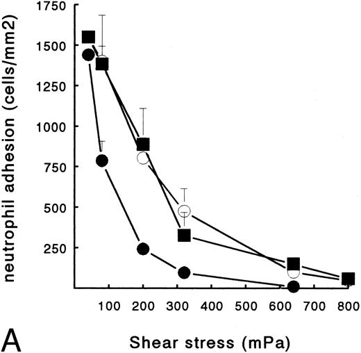 Fig. 2. PMN adhesion to surface-bound platelets and fibrin. Isolated resting neutrophils (2 × 106 cells/mL HEPES buffer) were perfused at different shear stresses to determine adhesion to Fb-flow surface (•), Fb + platelets (▪), or ECM-bound platelets (○). (A) Total number of surface-interacting PMNs per mm2 measured after 5 minutes of perfusion (mean ± SE, n = 4). Fb-flow showed significantly less adhesion as determined by repeated-measures ANOVA (P < .05). (B) Rolling neutrophils calculated as a percentage of the total number of surface-interacting cells. ECM-bound platelets induced more rolling compared with the other surfaces as determined by repeated-measures ANOVA (P < .05).
