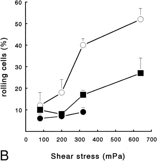 Fig. 2. PMN adhesion to surface-bound platelets and fibrin. Isolated resting neutrophils (2 × 106 cells/mL HEPES buffer) were perfused at different shear stresses to determine adhesion to Fb-flow surface (•), Fb + platelets (▪), or ECM-bound platelets (○). (A) Total number of surface-interacting PMNs per mm2 measured after 5 minutes of perfusion (mean ± SE, n = 4). Fb-flow showed significantly less adhesion as determined by repeated-measures ANOVA (P < .05). (B) Rolling neutrophils calculated as a percentage of the total number of surface-interacting cells. ECM-bound platelets induced more rolling compared with the other surfaces as determined by repeated-measures ANOVA (P < .05).