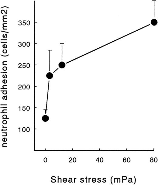 Fig. 3. PMN adhesion to fibrin formed from plasma at different shear stresses. Heparinized PPP was perfused over cover slips coated with a tissue factor–rich matrix of HUVECs at different shear stresses ranging from 0 mPa (static) to 80 mPa (20 minutes at 37°C). Subsequently, the surfaces were rinsed and used for a PMN perfusion at 200 mPa. After 5 minutes of perfusion, the total number of surface-interacting PMNs per mm2 was measured. The mean ± SE of four experiments is shown. Statistically significant shear-dependency was determined by repeated-measures ANOVA (P < .05).