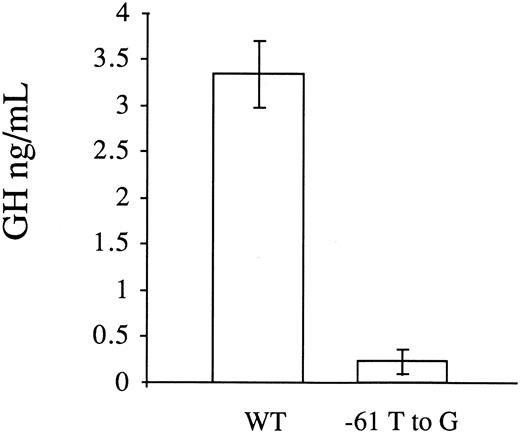 Fig. 2. Functional analysis of the wild-type (WT) and mutant (−61 T to G) factor VII promoters by transient transfections with reporter gene constructs in HepG2 cells. A PCR fragment with the mutation was cloned into a reporter plasmid containing the human growth hormone structural gene. A β-galactosidase plasmid was cotransfected with the growth hormone reporter gene constructs to correct for variations in transfection efficiency. The results are expressed in ng/mL of secreted growth hormone and represent the mean ± 1 SD of six independent transfections. The promoter activity of the mutant plasmid (p186GHm) was 6.7% of the wild-type plasmid (p186GH).
