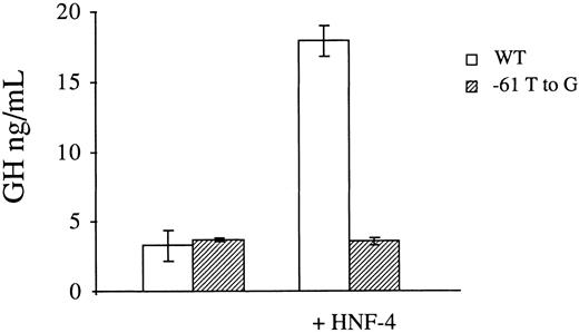 Fig. 4. Transactivation of the wild-type (WT) and mutant (−61 T to G) factor VII promoters by HNF-4 in HeLa cells. Growth hormone reporter plasmids containing the wild-type or mutant promoter element were transfected with the expression vector pLEN4S that codes for HNF-4 or the empty pLEN basic vector. A β-galactosidase plasmid was also cotransfected to correct for variations in transfection efficiency. The results are expressed in ng/mL of secreted growth hormone and represent the mean ± 1 SD of three independent transfections. HNF-4 transactivated the wild-type factor VII promoter 5.4-fold, while no effect was seen with the mutant promoter.