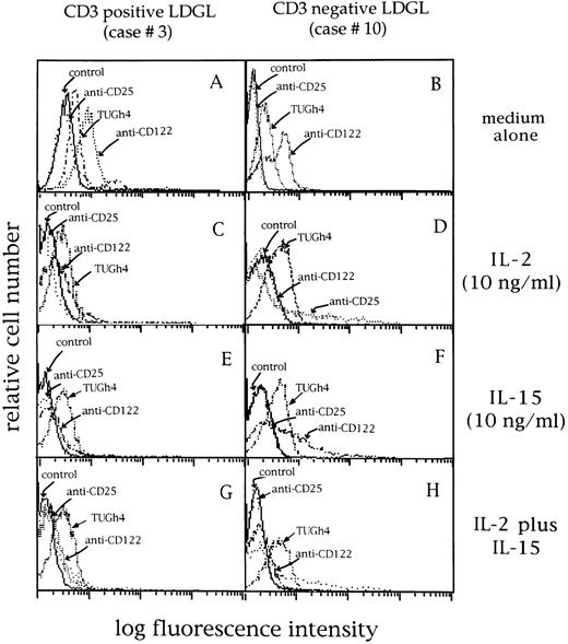 Fig. 6. Expression of CD25 (p55 IL-2R, BB10 MoAb), CD122 (p75 IL-2R, Mik-β1 MoAb), and TUGh4 MoAbs (p64 IL-2R) in 2 representative LDGL patients (cases no. 3 and 10). (A and B) Cells cultured in medium alone; the same pattern of expression was shown by freshly isolated patients' GL. (C and D) Cells cultured with IL-2 (10 ng/mL) for 72 hours; (E and F ) cells cultured with IL-15 (10 ng/mL) for 72 hours; (G and H) cells cultured in the presence of both cytokines for 72 hours.