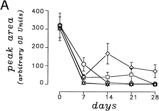 Fig. 4. (A) Modulation of the CD3 ζ chain expression on PBMC co-cultured up to 28 days with parental or cytokine gene transduced LC89 cells, evaluated by immunoblotting and expressed as arbitrary O.D. units of peak area (mean of five independent experiments). (□) LC89; (⋄) LC89/IL-2; (○) LC89/IL-7; (▵) LC89/GM-CSF; (▿) LC89/TNF-α. (B) Expression at different time periods of the CD3 ζ chain, evaluated by immunoblotting, in a representative coculture experiment between PBMC and parental and cytokine gene transduced LC89 cells.