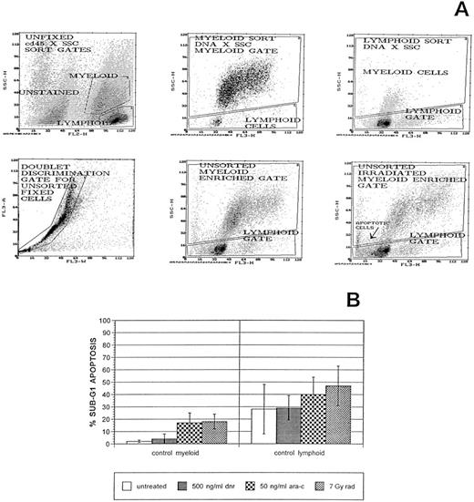 Fig. 2. Normal myeloid-enriched cell populations in control bone marrow samples show consistently low apoptosis responses to treatments with therapeutic agents. Primary bone marrow cells were cultured, treated with therapeutic agents, and prepared for flow cytometric analysis as described in Materials and Methods. Immature myeloid cells and monocytes were first recognized and flow-sorted from unfixed, CD45-immunostained bone marrow samples and then ethanol-fixed and stained with 7AAD, a DNA-specific stain. This demonstrated that the same myeloid versus lymphoid enrichments could be obtained by software gating DNA × SSC plots. Doublet discrimination gates were also applied to all flow cytometric analyses of fixed cells. (A) Representative histograms from flow cytometric sorting and follow-up cell-cycle/apoptosis assays of untreated or gamma irradiated cells from one control bone marrow sample. Sub-G1 apoptotic cells in lymphoid and myeloid subpopulations of an irradiated aliquot of this sample are noted. Cell-cycle distributions and apoptosis frequencies were determined by curve fitting using the Multicycle AV DNA analysis program. (B) Sub-G1 apoptosis data from this assay and its replicate and from assays of each of five other, independent bone marrow samples means and SEMs denoted for each treatment condition. Apoptosis frequencies are expressed relative to the cell fraction in G1 + S + G2/M compartments.