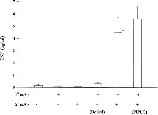 Fig. 4. LPS was not involved in CD15-mediated TNF-α release. Human peripheral mononuclear cells were isolated and CD15 was cross-linked as in Fig 1. Incubation of either primary MoAb PM81 alone or secondary antibody alone did not increase TNF-α release. Also, boiling the primary MoAb (100°C for 15 minutes) abrogated the TNF-α-inducing effect. Incubating mononuclear cells with phosphoinositol specific phospholipase C (PIPLC, 15 μg/mL) for 60 minutes at 37°C, to remove the LPS receptor (ie, CD14) before cross-linking with CD15 MoAb had no effect. + = Significantly different from control (P < .05).
