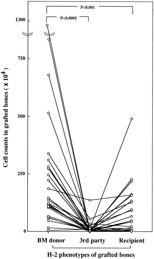 Fig. 1. Accumulation of BMCs in bone marrow donor bones. All combinations of mice and engrafted bones are shown in Table 1. Cell counts in each engrafted bone were made separately at 4 to 6 weeks after BMT. Cell counts in bones from third-party mice are expressed as the mean number of two engrafted bones. Individual mice are shown by a line graph.