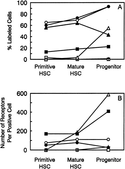 Fig. 2. Summary of the percentage of stem and progenitor cell populations labeled with 125I-cytokine (A) and the number of receptors expressed on positive cells (B). The following symbols represent the cytokine receptors analyzed: (□) M-CSF; (▪) IL-6; (○) IL-3; (•) G-CSF; (▵) GM-CSF; (▴) IL-1; and (+) LIF.