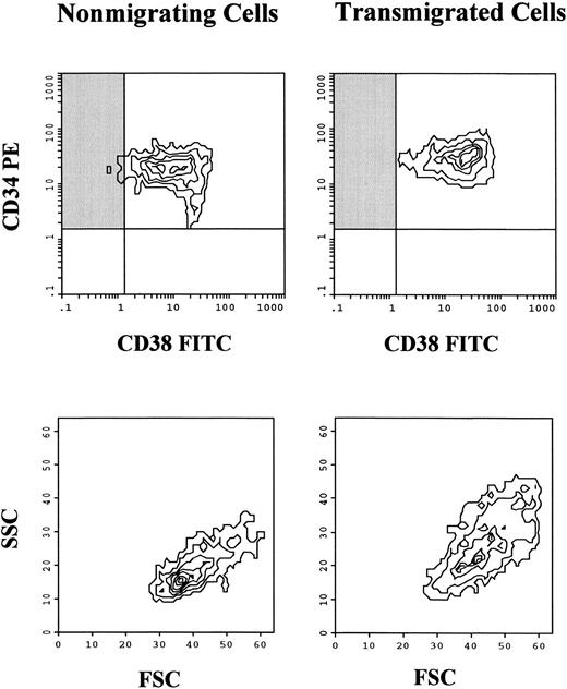 Fig. 2. Coexpression of CD38 and CD34 on nonmigrating and transmigrated progenitor cells. Contour plots of one representative experiment are shown. The fluorescence intensity of CD38 was greater on the transmigrated cells, while no difference was observed regarding the expression level of CD34. More primitive, CD34+/CD38− progenitor cells are indicated by the shaded area. This particular population was virtually absent (<1%) in the transmigrated cells, compared with 1% to 5% in the nonmigrating cells. The difference was not due to selective migration of smaller cells, because the forward scatter (FSC) of the transmigrated cells tended to be even greater.