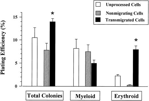 Fig. 3. Plating efficiency of progenitor cells. Equal numbers of nonmigrating, transmigrated, and unprocessed CD34+ cells were plated. The plating efficiency of the transmigrated progenitors for total colonies was greater compared with both nonmigrating and nonprocessed CD34+ cells. The difference was related to the greater number of erythroid progenitors (BFU-E).