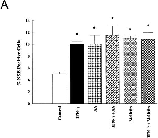 Fig. 6. Effects of IFN-γ, AA, and melittin on the NSE activity and the NBT reduction. HL-60 cells were cultured for 5 days in the presence of IFN-γ (2,000 U/mL), AA (10 μmol/L), melittin (500 ng/mL) or the combination of IFN-γ (2,000 U/mL) and AA (10 μmol/L) and the combination of IFN-γ (2,000 U/mL) and melittin (500 ng/mL). The cells were harvested and stained for α-NSE activity (A) and for the NBT reducing ability (B) The data (means ± SD) are expressed as a percentage of the control level obtained from three independent experiments assayed in duplicate. * Significantly different (P < .05, Student's t-test) from controls.