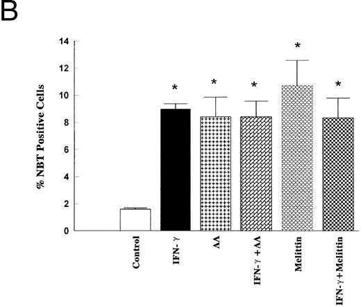 Fig. 6. Effects of IFN-γ, AA, and melittin on the NSE activity and the NBT reduction. HL-60 cells were cultured for 5 days in the presence of IFN-γ (2,000 U/mL), AA (10 μmol/L), melittin (500 ng/mL) or the combination of IFN-γ (2,000 U/mL) and AA (10 μmol/L) and the combination of IFN-γ (2,000 U/mL) and melittin (500 ng/mL). The cells were harvested and stained for α-NSE activity (A) and for the NBT reducing ability (B) The data (means ± SD) are expressed as a percentage of the control level obtained from three independent experiments assayed in duplicate. * Significantly different (P < .05, Student's t-test) from controls.