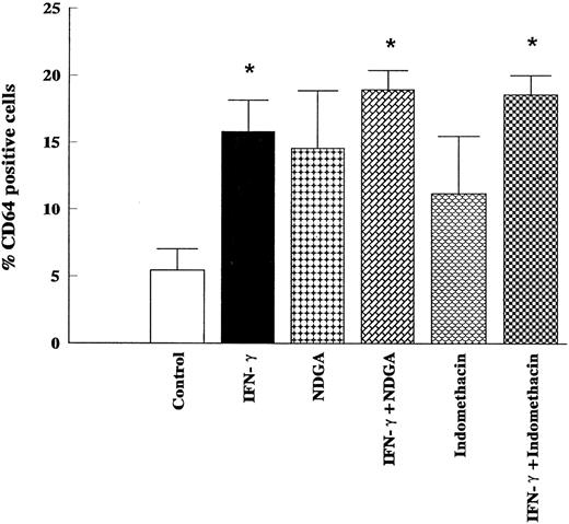 Fig. 8. Lack of effects of indomethacin and NDGA on the stimulation of surface expression of CD64 induced by IFN-γ in HL-60 cells. HL-60 cells were incubated for 5 days with IFN-γ (2,000 U/mL), indomethacin (50 μmol/L), NDGA (50 μmol/L), or the combination of IFN-γ (2,000 U/mL) and indomethacin (50 μmol/L) and the combination of IFN-γ (2,000 U/mL) and NDGA (50 μmol/L). Expression of CD64 was determined by flow cytometry. The data (means ± SD) represent the percentage of cells staining positive for the respective antigen obtained from six independent experiments. * Significantly different (P < .05, Student's t-test) from controls.