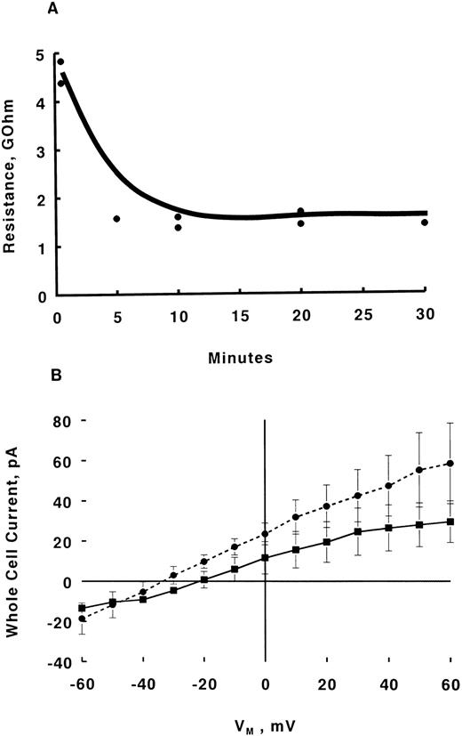 Fig. 2. Effects of Epo on whole cell currents measured with nystatin perforated patch method. GΩ seals were formed in day 10 BFU-E–derived erythroblasts in IMDM containing FCS and HEPES (both 1%). Without nystatin in pipette solution, typical values for seal resistance were 20 to 50 GΩ. (A) Representative time course of decrease in seal resistance for two erythroblasts under nystatin perforated clamp. Voltage steps (between −40 and +80 mV, 10-mV increments, 100 ms) were applied at the times indicated and seal resistance was calculated. Mean steady-state seal resistance with nystatin-perforated patch was 2.4 ± 0.6 GΩ (n = 9). (B) Whole cell currents were measured only after attainment of minimal steady-state seal resistance, usually at 15 to 20 minutes after initial GΩ seal formation (A). IV relationships in human erythroblasts under nystatin-perforated patch-clamp before (▪, n = 5) and 15 minutes after Epo (2 U/mL) addition (•, n = 6) are shown (mean ± SE). Error bars are not shown if they fall within the boundaries of the symbol. If Epo induced a measurable inward whole cell current, it would be detected as a greater downward deflection at more negative voltages in the IV relationship, similar to what we observed in vasopressin-stimulated rat hepatocytes (Fig 6 in Duszynski et al42 ). This is not the case in Epo-stimulated erythroblasts. IV relationships at 1, 5, 10, and 20 minutes after Epo addition (n = 6 except for 20 minutes where n = 3) are similar and not shown.