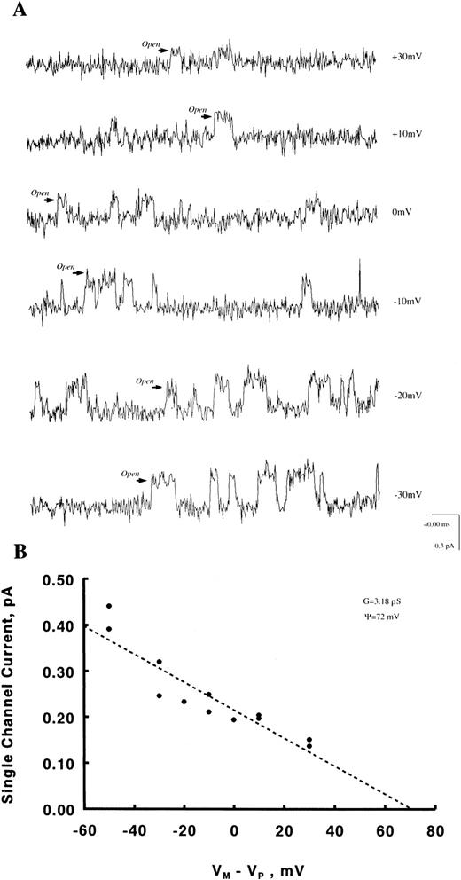 Fig. 6. Dependence of Ca2+ channel unitary current on voltage. Experiments were performed as in Fig 4 except that Vp was varied from −40 to +40 mV. In the cell-attached configuration, unitary current i is related to (Vm-Vp) according to the Goldman-Hodgkin-Katz equation.43 Vm was measured to be −10 mV in human erythroblasts.22 In human RBCs, it should be recalled that PCl is much higher than PK or PNa and that Vm is essentially identical to the Cl− equilibrium potential of −9 mV.28 Thus, absence of external Na+ or K+ in these experiments would be expected to have little effect on Vm . (A) Current tracings at (Vm-Vp) of −30 to +30 mV from a representative cell. (B) Scatter plot of i vs (Vm-Vp). Dotted line is a linear regression line42 from which the slope conductance and reversal potential were estimated to be 3.2 pS and +72 mV, respectively.