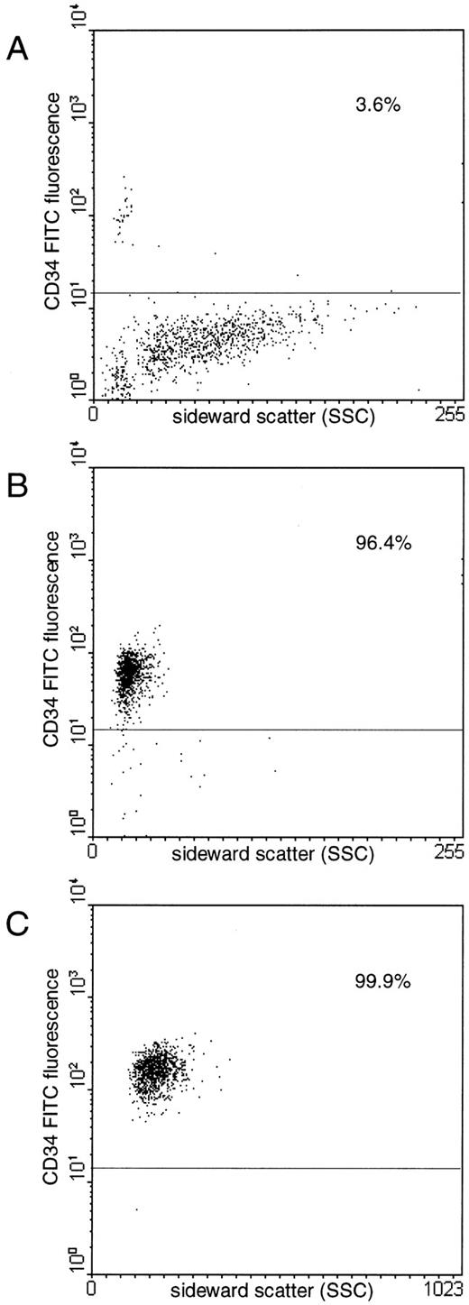 Fig. 1. Flow cytometric analyses of a representative CD34+ cell enrichment from a leukapheresis product (A) by immunomagnetic separation (B) and subsequent FACS (C). Proportions of CD34+ cells are indicated.