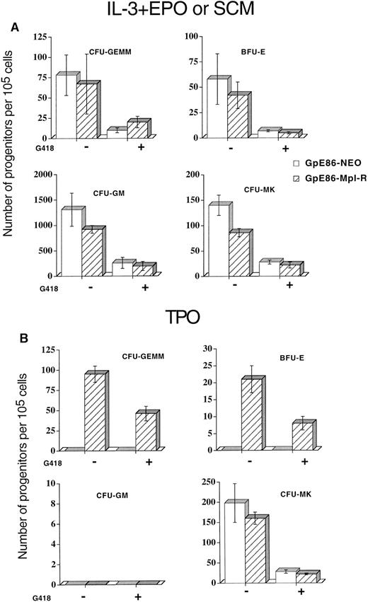 Fig. 2. Mean number of progenitors ± SEM per 105 marrow cells cocultured on GpE86-Neo or GpE86-Mpl-R cells. Cocultured cells were grown (A) in methylcellulose in the presence of IL-3 + EPO to reveal CFU-GEMM, BFU-E, and CFU-GM or in agar in the presence of pokeweed mitogen spleen cell conditioned medium (SCM) to reveal CFU-MK with (+) or without (−) G418 (n = 4); or (B) in methylcellulose (CFU-GEMM, BFU-E, and CFU-GM) or in agar (CFU-MK) in the presence of TPO (n = 4) with (+) or without (−) G418.