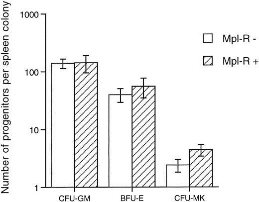 Fig. 6. Mean number of progenitors present in individual spleen colonies generated by hematopoietic cells cocultured on GpE86-Mpl-R cells. Cells from each individual spleen colony were grown in methylcellulose in the presence of IL-3 + EPO (CFU-GM and BFU-E) and in agar in the presence of TPO (CFU-MK). Each individual colony was tested for retroviral integration by PCR technique and was determined as negative (Mpl-R−, n = 30) or positive (Mpl-R+, n = 16).