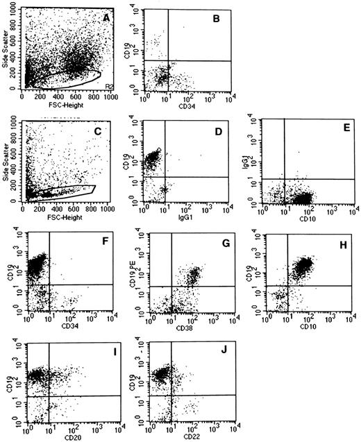 Fig. 2. Phenotype of CD19+ B cells produced in cocultures of CD34+CD338lowCD19− cord blood cells with MS-5 murine stromal cells. One thousand CD34+CD38lowCD19− cells were seeded in 24-well plates on preestablished MS-5 cell underlayers. Cells were grown in either switch conditions (A and B) or lymphoid conditions (C through J) for 6 weeks. At the end of the culture period, the total content of the well (adherent and nonadherent cells) was analyzed by flow cytometry after labeling with human MoAbs recognizing human B-cell antigens. Quadrants limits defining positivity and negativity were set up using cells labeled with isotype-matched FITC- (D) and PE-labeled (E) control antibodies. Analysis is shown in the lymphoid gate circled in (A) and (C). (A) and (B) are from one experiment and (C) through (J) are from a separate experiment.