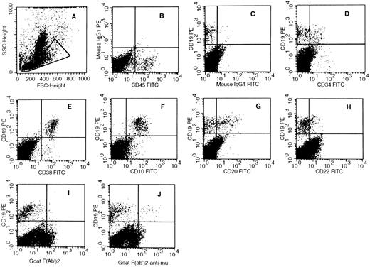 Fig. 5. Phenotype of human CD19+ B cells detected in the marrow of a NOD-SCID mouse transplanted with human CD34+- CD19−CD10− cord blood cells. In this representative experiment, NOD-mice were injected with 60,000 CD34+CD19−CD10− cord blood cells. Six weeks later, mice were killed and the bone marrow cells were labeled with a panel of MoAbs recognizing human antigens. Analysis was performed in the morphologic gate defined in (A), which includes all human lymphoid cells. Quadrant limits were set as defined in Fig 1 using PE-labeled (B) and FITC-labeled (C) control antibodies.