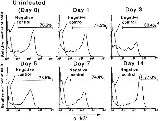 Fig. 1. The expression level of c-kit on Lin− cells after an MCMV infection. The mice were inoculated with 1 × 105 PFU of MCMV on day 0. On various days after infection, as shown in the figure, the mice were killed in order to remove their bone marrow cells. Using flow cytometry, the expression level of c-kit on these cells was examined after the Lin− populations were gated. The numbers in the figure represent the mean percentage of c-kit+ cells in the Lin− cell populations. *Significant decrease versus uninfected control (P < .05).