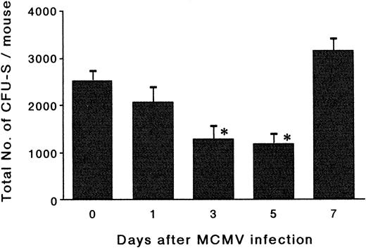 Fig. 3. The effects of MCMV infection on CFU-S. The mice were inoculated with 1 × 105 PFU of MCMV. Bone marrow cells were obtained on day 1, 3, 5, and 7 pi and then the graded numbers of bone marrow cells were transferred intravenously into lethally irradiated mice. On day 14 after transfer, the recipient mice were killed in order to remove their spleens. Surface colonies of the spleens were counted to determine the total number of day-14 CFU-S in the donor bone marrow. The results of four mice for each group are expressed as the mean ± SEM. *Significant decrease versus uninfected control (P < .01).