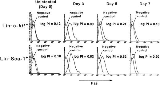 Fig. 5. The expression level of Fas antigen on hematopoietic progenitor cells. The mice were inoculated with 1 × 105 PFU of MCMV. On various days after infection, as shown in the figure, the mice were killed in order to remove their bone marrow cells. Using flow cytometry, the expression level of Fas on these cells was examined using either the Lin−c-kit+ (upper panels) or Lin− Sca-1+ (lower panels) cells. The number of logarithm peak intensity channels (log PI) was described in the figure.