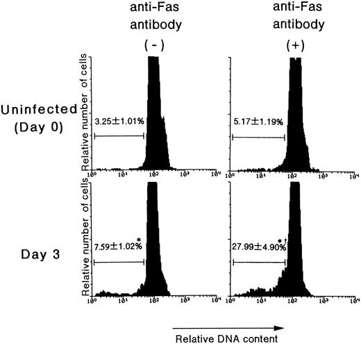 Fig. 6. The effects of anti-Fas antibody on the apoptosis induced in Lin− cells. The mice were inoculated with 1 × 105 PFU of MCMV. On day 3 pi, the mice were killed in order to remove their bone marrow cells. The bone marrow cells were treated with Jo2 antibody for 18 hours. Using flow cytometry, the signals of PI, which represent the DNA contents, were examined after the Lin− populations were gated. Subdiploid cells were designated as cells undergoing apoptosis. The number in the figure represents the percentage of cells undergoing apoptosis in the Lin− cells (mean % ± SEM, n = 4). *Significant increase versus uninfected control (P < .01). †Significant increase versus cells incubated without anti-Fas antibody (P < .01).
