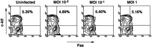 Fig. 7. The effects of MCMV infection in vitro on the expression of Fas on hematopoietic progenitor cells. After being treated with MCMV for 2 hours at different MOI (multiplicity of infection) values, ranging from 10−2 to 1, bone marrow cells were washed, suspended in RPMI 1640 medium containing 10% FCS, 100 U/mL IL-3, IL-6, and 50 ng/mL stem cell factor and then incubated at 37°C. Forty-eight hours after incubation, the expression level of c-kit and Fas on these cells was examined after the Lin− populations were gated. The numbers in the figure represent the percentage of c-kit+Fas+ cells in the Lin− cell populations.