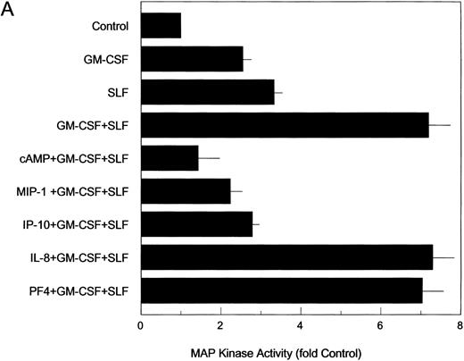 Fig. 2. IP-10 and MIP-1α inhibit the stimulatory effects of GM-CSF and SLF on ERK2 MAP kinase activity in MO7e cells. Factor-starved MO7e cells were treated with GM-CSF, SLF, or the combination of GM-CSF and SLF (GM + SLF ) for 15 minutes (A) or for various times throughout a 4-hour treatment period (B and C) or were treated with 8-bromo-cAMP (cAMP + GM-CSF + SLF ) (A) or with MIP-1α (MIP-1α + G + S), IP-10 (IP-10 + G + S), PF4 (PF4 + G + S), or IL-8 (IL-8 + G + S) for 1 hour before combined treatment with GM-CSF and SLF for 15 minutes (A) or for various times throughout a 4-hour treatment period (B and C). MAP kinase proteins were immunoprecipitated from cell lysates and the relative kinase activity, as indicated by phosphorylation of the MBP peptide substrate, was determined for each treatment group as described in the Materials and Methods. Control cells received vehicle alone (control, A through C). Values are expressed as the fold increase above control levels. Each bar (A) represents the mean ± the standard deviation of four determinations obtained in separate experiments. Each point (B and C) represents the mean of four determinations obtained in separate experiments. MAP kinase levels for the separate GM-CSF and SLF treatment groups were significantly higher than controls at 15 minutes, 30 minutes, and 1 hour (P < .05). MAP kinase levels for the GM-CSF + SLF group were significantly higher than those for control, GM-CSF, SLF, cAMP + GM-CSF + SLF, MIP-1α + GM-CSF + SLF, and IP-10 + GM-CSF + SLF treatment groups at all time points studied (P < .05) and were significantly higher to a greater-than-additive extent above the combined mean MAP kinase activity for the individual GM-CSF and SLF groups when administered separately (P < .05).