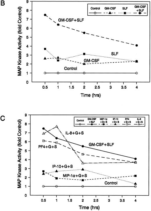 Fig. 2. IP-10 and MIP-1α inhibit the stimulatory effects of GM-CSF and SLF on ERK2 MAP kinase activity in MO7e cells. Factor-starved MO7e cells were treated with GM-CSF, SLF, or the combination of GM-CSF and SLF (GM + SLF ) for 15 minutes (A) or for various times throughout a 4-hour treatment period (B and C) or were treated with 8-bromo-cAMP (cAMP + GM-CSF + SLF ) (A) or with MIP-1α (MIP-1α + G + S), IP-10 (IP-10 + G + S), PF4 (PF4 + G + S), or IL-8 (IL-8 + G + S) for 1 hour before combined treatment with GM-CSF and SLF for 15 minutes (A) or for various times throughout a 4-hour treatment period (B and C). MAP kinase proteins were immunoprecipitated from cell lysates and the relative kinase activity, as indicated by phosphorylation of the MBP peptide substrate, was determined for each treatment group as described in the Materials and Methods. Control cells received vehicle alone (control, A through C). Values are expressed as the fold increase above control levels. Each bar (A) represents the mean ± the standard deviation of four determinations obtained in separate experiments. Each point (B and C) represents the mean of four determinations obtained in separate experiments. MAP kinase levels for the separate GM-CSF and SLF treatment groups were significantly higher than controls at 15 minutes, 30 minutes, and 1 hour (P < .05). MAP kinase levels for the GM-CSF + SLF group were significantly higher than those for control, GM-CSF, SLF, cAMP + GM-CSF + SLF, MIP-1α + GM-CSF + SLF, and IP-10 + GM-CSF + SLF treatment groups at all time points studied (P < .05) and were significantly higher to a greater-than-additive extent above the combined mean MAP kinase activity for the individual GM-CSF and SLF groups when administered separately (P < .05).
