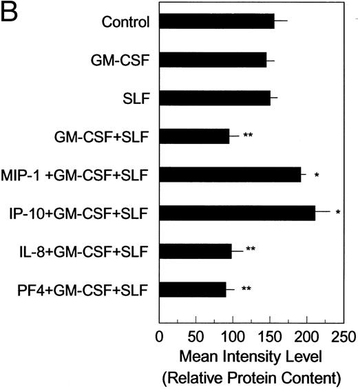 Fig. 5. Effects of chemokine and cytokine treatment on the association of 4E-BP1 with eIF-4E proteins. Factor-starved MO7e cells were treated with control vehicle (lane 1), GM-CSF (lane 2), SLF (lane 3), or GM-CSF + SLF (lane 4) for 1 hour or with MIP-1α (lane 5), IP-10 (lane 6), IL-8 (lane 7), or PF4 (lane 8) for 1 hour before 1 hour of treatment with GM-CSF + SLF. (A) eIF-4E proteins were immunoprecipitated from cell lysates and separated by 15% SDS-PAGE, as described in the Materials and Methods. 4E-BP1 protein content associated with eIF-4E in each treatment group was determined by immunoblotting PVDF membranes with anti–4E-BP1 antibodies and visualized upon exposing ECL-treated membranes to film. The position of the molecular weight marker is indicated to the left. The position of 4E-BP1 is indicated to the right of (B). Scanning analysis of autoradiograms was performed to determine relative 4E-BP1 protein content, as described in the Materials and Methods. (*) 4E-BP1 protein content was significantly higher than control levels for the MIP-1α and IP-10 pretreatment groups (P < .05). (**) Protein content for 4E-BP1 corresponding to the GM-CSF + SLF, IL-8 + GM-CSF + SLF, and PF4 + GM-CSF + SLF treatment groups was significantly less than control levels (P < .05). Each bar represents the mean ± the standard deviation for three determinations obtained in separate experiments. Treatment groups are the same as those for (A).