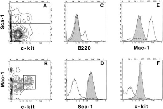 Fig. 5. Sorting and reanalysis of stem cells from 5-FU–treated bone marrow. Bone marrow was harvested from mice that had been treated 3 days previously with 5-FU. RBCs were lysed and the cells were stained with anti-B220, Sca-1, Mac-1, and c-kit. (A) Expression of Sca-1 and c-kit on B220− bone marrow cells. (B) Mac-1 and c-kit expression on B220−, Sca-1+ gated population as determined in (A). 0.03% of day 3 post 5-FU WBM is contained in the lineage−, Sca-1+, Mac-1low, c-kitlow population as shown in the box. The boxed population was sorted and a reanalysis of the expression of B220, Sca-1, Mac-1, and c-kit (C-F, shaded histograms) was compared with the expression of these same molecules on ungated day 3 post 5-FU WBM (C, open histogram) or on B220− day 3 bone marrow cells (D-F, open histograms).