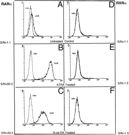 Fig. 1. Representative flow cytometric histograms show CD38 expression in RAR-α (A-C) and RXR-α (D-F ) –transfected HL-60R cells, incubated in medium alone (A and D) or in medium containing 10 nmol/L ATRA (B and E) or 10 mmol/L 9-cis RA (C and F ) overnight. The cells were stained with either isotypic control IgG1 or anti-CD38 antibody (Leu-17) as described in the Materials and Methods.