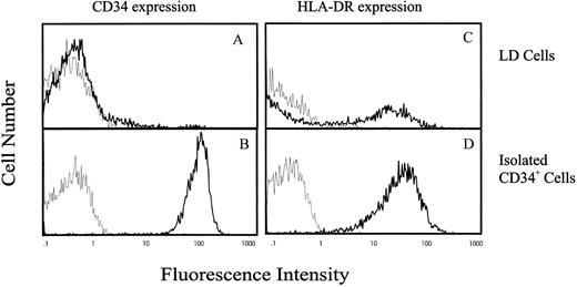 Fig. 1. Flow cytometric analysis of CD34 and HLA-DR antigen expression on LD and CD34+ cells purified from human cord blood. The vertical axis indicates the relative number of cells on a linear scale, and the horizontal axis indicates fluorescence on a logarithmic scale. (A) and (B) CD34 antigen expression and (C) and (D) HLA-DR antigen expression on LD mononuclear cells or purified CD34+ cells, respectively. Cells were incubated either with antihuman FITC-conjugated anti-HLA-DR MoAb or PE-conjugated anti-CD34 MoAb (━) or with negative control antibodies (─).