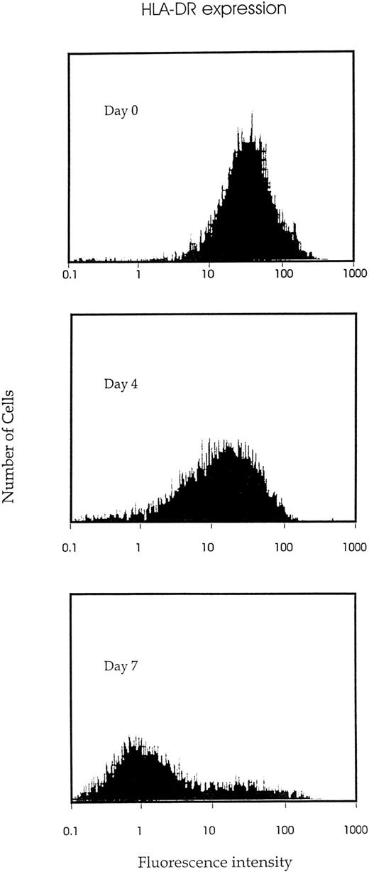Fig. 4. Kinetic study of HLA-DR antigen expression during growth factor–induced CD34+ proliferation and differentiation. Isolated CD34+ cells were cultured in IMDM containing 10% FCS and 7 cytokines (IL-1, IL-3, IL-6, SCF, EPO, G-CSF, and GM-CSF ). And the indicated time (days 0, 4, or 7), cells were harvested, stained by FITC-conjugated MoAb to HLA-DR, and examined for HLA-DR antigen expression by flow cytometric analysis.
