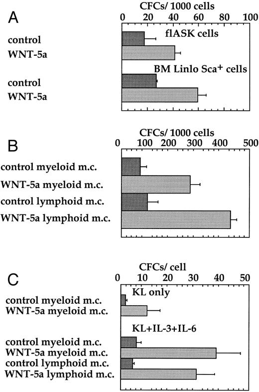Fig. 6. WNT-5a stimulates colony formation of flASK cells. (A) Freshly sorted flASK cells or Linlo Sca+ bone marrow cells were plated into myeloid methylcellulose with control or WNT-5a CM. Colony number was from quadruplicate plates evaluated after day 12 of culture and repeated in three independent experiments. (B) flASK cells expanded for 11 days on stromal layers (fetal liver cell line 10-6) with control or WNT-5a CM and the resultant cells were replated into myeloid or lymphoid methylcellulose and scored for colony growth as described above. (C) flASK cells expanded for 11 days in suspension culture containing c-kit ligand (KL) with control or Wnt-5A CM or KL, IL-3, and IL-6 with control or Wnt-5A CM were replated into myeloid or lymphoid methylcellulose. KL was supplied at 25 ng/mL. IL-3 and IL-6 were supplied at 2.0 ng/mL each. Colony growth was scored as described above. For methylcellulose assays, myeloid cell growth was obtained using medium-containing sreum, GM-CSF, IL-3, IL-6, erythropoietin, and KL and lymphoid cell growth was obtained using medium-containing serum, KL, and IL-7.