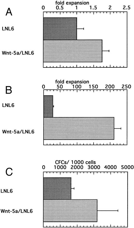 Fig. 7. (A) Enhanced survival/proliferation of flASK cells after transduction with the Wnt5a/LNL6 retrovirus. Transductions were initiated with 100,000 cells/mL in IL-3, IL-6, and c-kit ligand (KL). The fold expansion for LNL6- or Wnt5a/LNL6-treated cells was determined from cell counts at the end of the transduction period (48 hours) and repeated four times. (B) Suspension culture of Wnt5a/LNL6-transduced cells for 7 days results in extensive expansion compared with LNL6-treated cultures. (C) Colony formation from flASK cells after 48 hours of transduction with LNL6 or Wnt5a/LNL6. Cells were plated in quadruplicate under myeloid methylcellulose conditions using medium-containing serum, GM-CSF, G-CSF, IL-3, IL-6, erythropoietin, and KL. Colony growth was evaluated after day 12 of culture and repeated in four independent experiments.