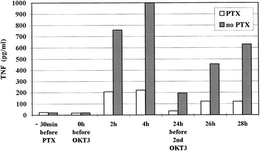 Fig. 1. Kinetic of TNFα plasma level during the first 2 days of OKT3 MoAb treatment. Median levels of all 7 patients are shown.