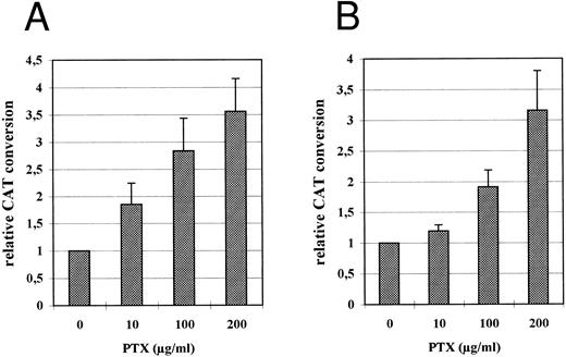 Fig. 2. Relative CAT expression in HL-60 (A) and THP-1 (B) cells grown in the absence or in the presence of PTX. PTX was added to the culture medium immediately after transfection. Cell extracts for CAT assay were prepared 48 hours following transfection as described. The diagram represents CAT conversion rates obtained in four independent experiments (mean average ± SD).